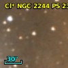 Cl* NGC 2244     PS     239