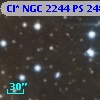 Cl* NGC 2244     PS     248