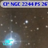 Cl* NGC 2244     PS     267