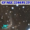 Cl* NGC 2244     PS     274