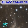 Cl* NGC 2244     PS     289