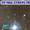 Cl* NGC 2244     PS     293