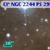 Cl* NGC 2244     PS     295