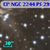 Cl* NGC 2244     PS     299