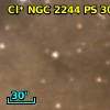 Cl* NGC 2244     PS     306