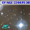 Cl* NGC 2244     PS     309