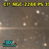 Cl* NGC 2244     PS     310
