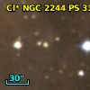 Cl* NGC 2244     PS     313