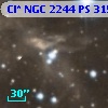 Cl* NGC 2244     PS     315