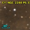 Cl* NGC 2244     PS     319