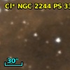 Cl* NGC 2244     PS     339