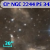 Cl* NGC 2244     PS     343