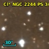 Cl* NGC 2244     PS     344