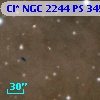 Cl* NGC 2244     PS     345