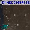 Cl* NGC 2244     PS     364