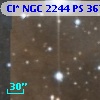 Cl* NGC 2244     PS     367
