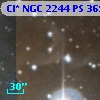 Cl* NGC 2244     PS     369