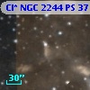 Cl* NGC 2244     PS     371
