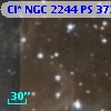 Cl* NGC 2244     PS     373