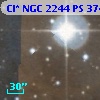 Cl* NGC 2244     PS     374