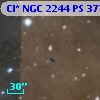 Cl* NGC 2244     PS     377