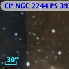 Cl* NGC 2244     PS     392