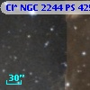 Cl* NGC 2244     PS     425