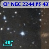 Cl* NGC 2244     PS     437