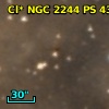 Cl* NGC 2244     PS     439