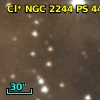 Cl* NGC 2244     PS     443