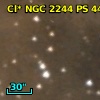 Cl* NGC 2244     PS     444