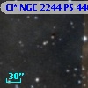 Cl* NGC 2244     PS     446