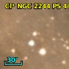 Cl* NGC 2244     PS     449