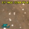 Cl* NGC 2244     PS     458