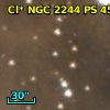Cl* NGC 2244     PS     459