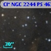 Cl* NGC 2244     PS     463