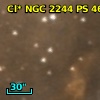 Cl* NGC 2244     PS     466