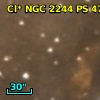 Cl* NGC 2244     PS     471