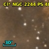Cl* NGC 2244     PS     480
