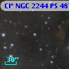 Cl* NGC 2244     PS     487