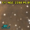 Cl* NGC 2244     PS     492