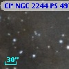 Cl* NGC 2244     PS     497