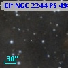 Cl* NGC 2244     PS     498