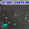 Cl* NGC 2244     PS     499