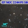Cl* NGC 2244     PS     504