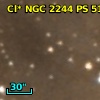 Cl* NGC 2244     PS     515