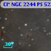 Cl* NGC 2244     PS     522