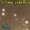 Cl* NGC 2244     PS     525