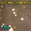 Cl* NGC 2244     PS     526