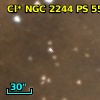 Cl* NGC 2244     PS     554